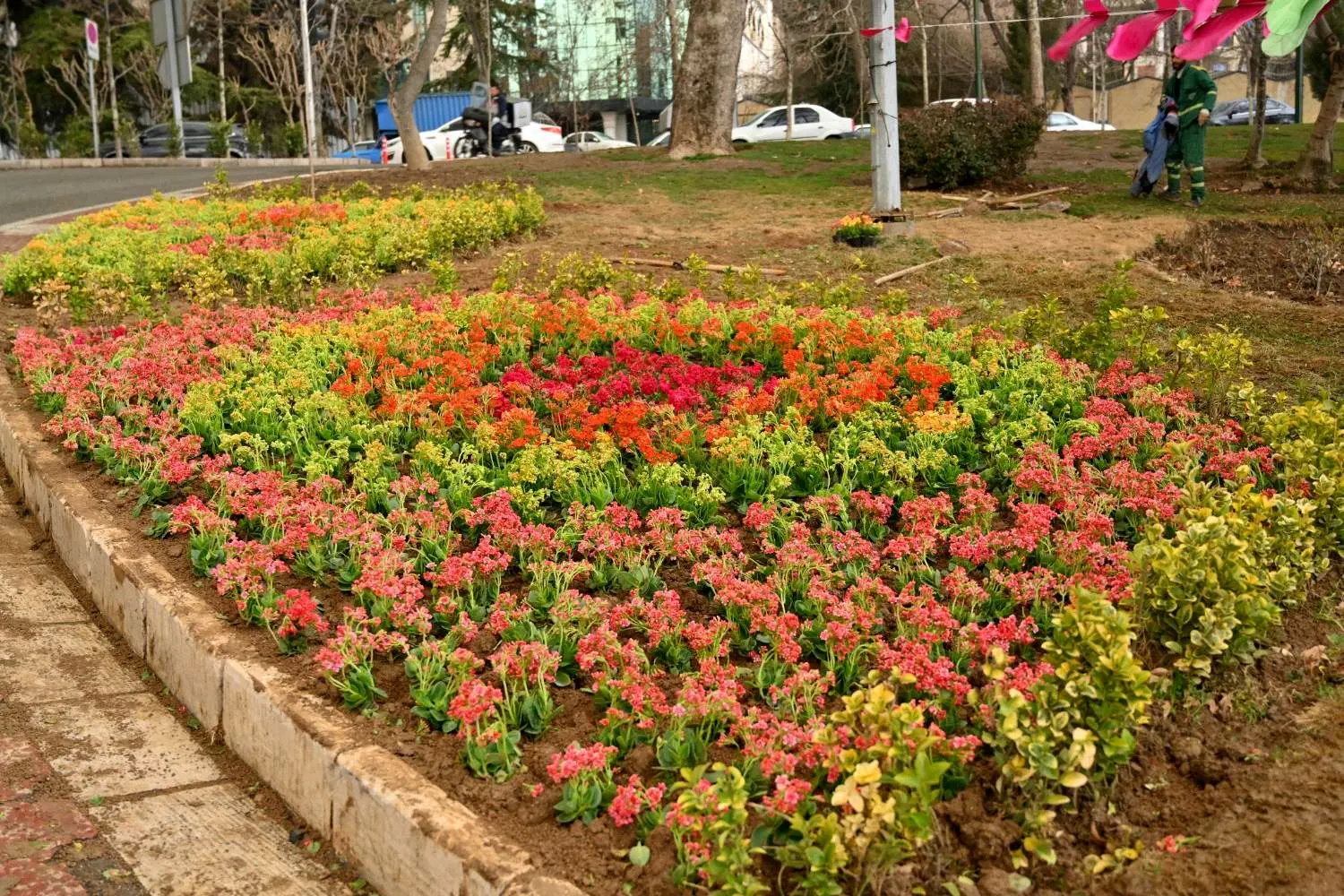 کاشت بیش از ۱۳ هزار گل فصلی در طرح استقبال از بهار

