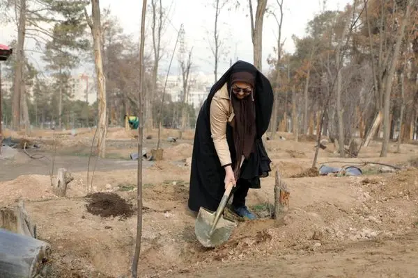 کاشت 25 هزار اصله نهال تا پایان سال در بوستان جنگلی سرخه حصار