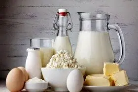 مصرف سرانه لبنیات یکچهارم میانگین جهانی