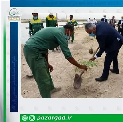 مراسم روز درختکاری با همکاری HSE پتروشیمی منطقه پارس