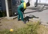  قنات خوردین احیا و بازسازی شد 

