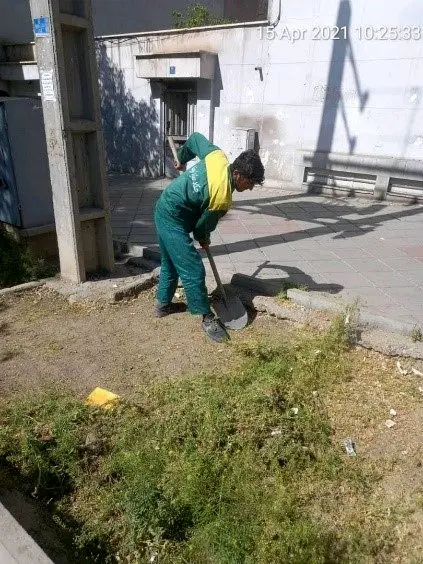 مبارزه با علف های هرز در بوستان ها و فضاهای سبز شمال شرق تهران