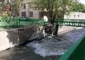 حمایت بیمه رازی از روستاییان نوآور کشور