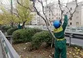 معابر و بزرگراه‌های منطقه ۲ به نام پیامبر مهربانی‌ها مزین شد

