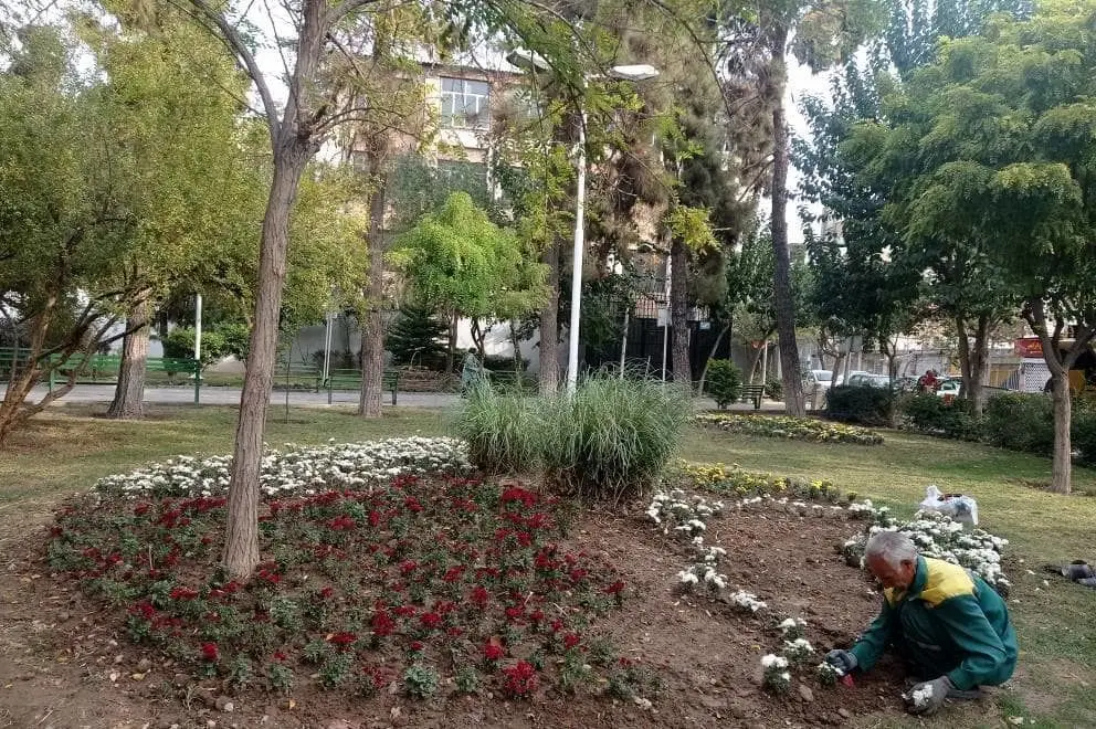 کاشت بیش از ۲۶ هزار نشاء فصلی و دائمی در منطقه ۱۳

