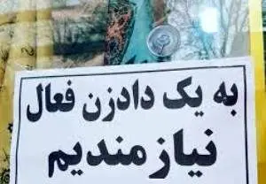 ظهور شغلی جدید در پایتخت! + عکس