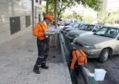 بیش از1100 منفذ در منطقه14 طعمه‌گذاری شد 
