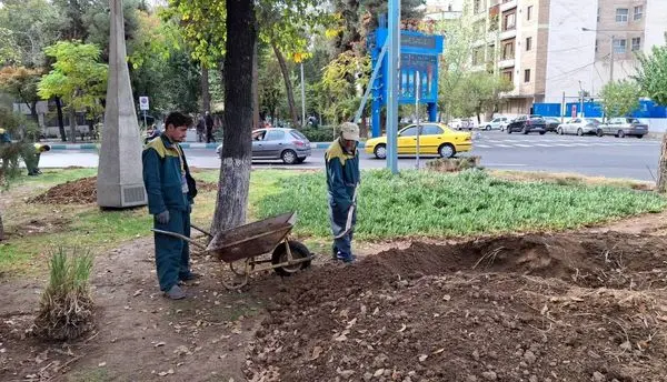 کاشت بیش از ۳۶ هزار درختچه و ۱۴۰ درخت در منطقه۸