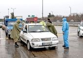 نصب تندیس سروقامتان سلامت در بوستان های منطقه2
