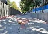 گامی مهم در جهت افزایش رفاه بانوان

