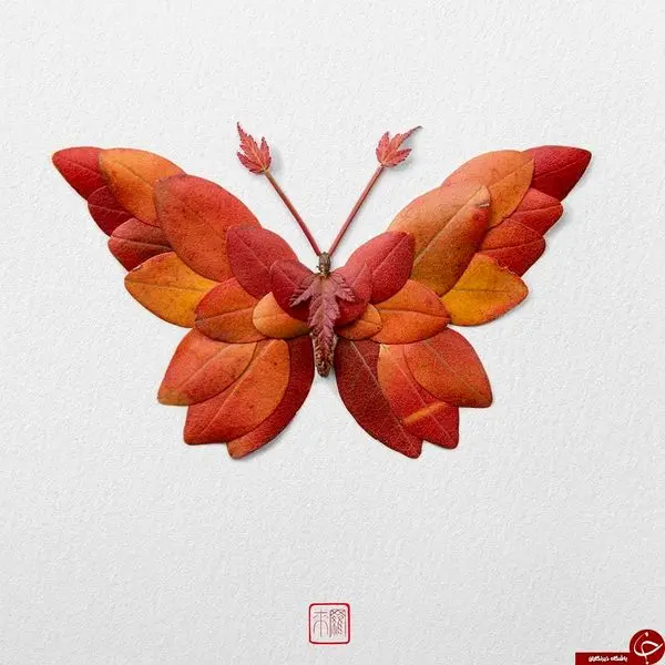 حشرات فوق العاده زیبا و باورنکردنی از جنس گیاه + تصاویر