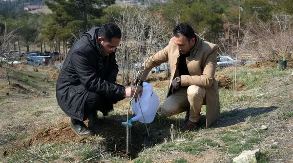 روز درختکاری، تجدید پیمان با طبیعت