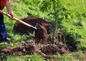 اجرای طرح بهسازی منظر شهری در بزرگراه اشرفی اصفهانی 