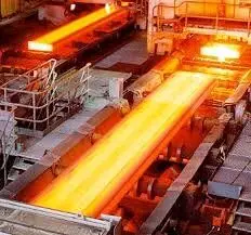 «شیوه نامه اصلاح شده» پس از تایید دولت اجرا می‌شود