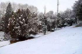 ورود موج بارشی جدید از پنجشنبه به کشور
