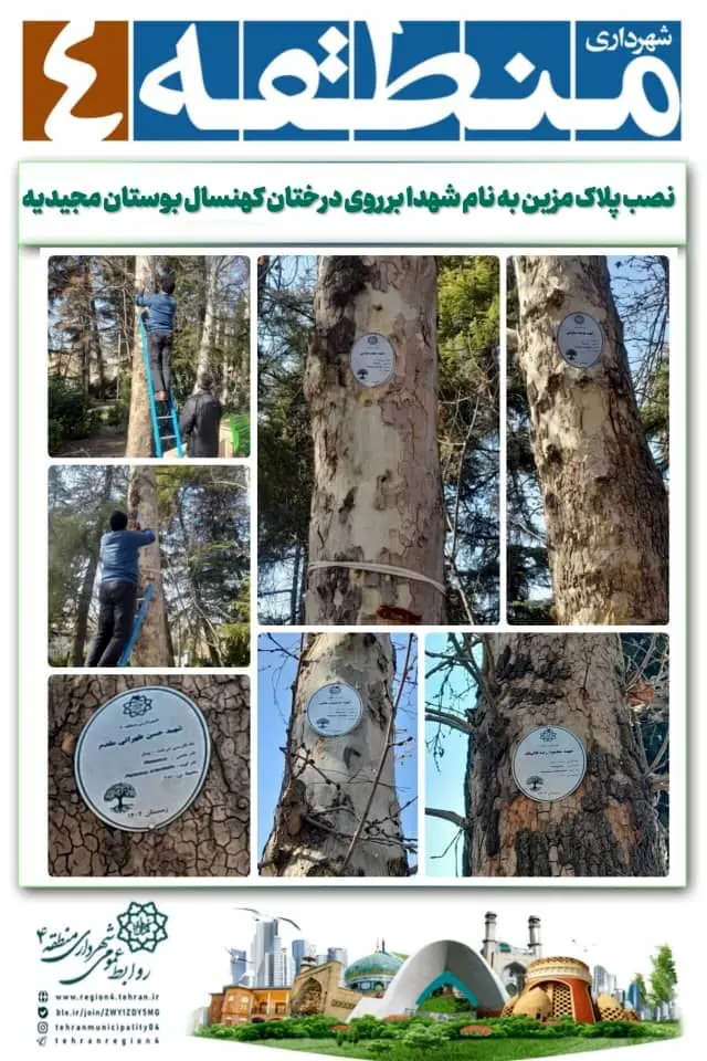 نصب پلاک مزین به نام شهدا بر روی درختان کهنسال بوستان مجیدیه


