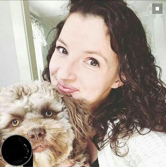 سگی که چهره اش شبیه آدمهاست+عکس