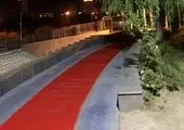 نخستین روز اجرای طرح خدمت در منطقه ۲۱ پایتخت اجرایی شد