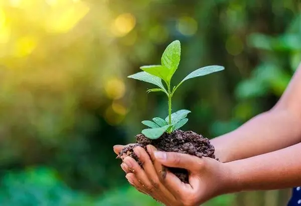 آغاز پویش سفیران محیط زیست در هفته هوای پاک