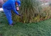 پخش بیش از سیزده هزار تن آسفالت در طرح خدمت (مضاعف) در منطقه ۲۱ شهرداری تهران

