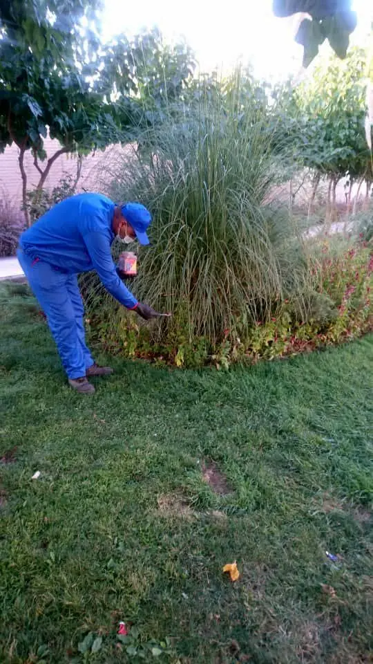 شناسایی و طعمه گذاری ۳۸۰ مورد منافذ موش انجام شد