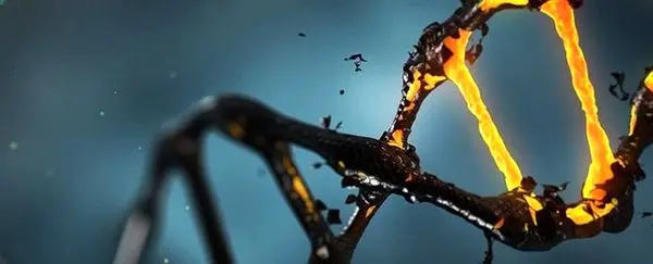 پروتئینی که به نگهداری ژنومها کمک میکند