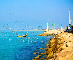 بازخوانی تاریخچه خلیج فارس در شبکه سحر