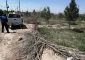 آزاد سازی ۴ هکتار اراضی کشاورزی درحریم منطقه ۱۹

