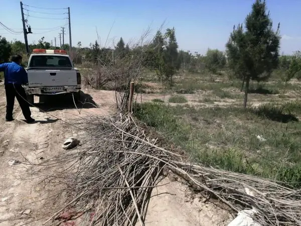 یک هکتار اراضی کشاورزی در منطقه 19 آزاد سازی شد