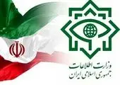 یک تبعه‌ی سوئد به اتهام جاسوسی بازداشت شد