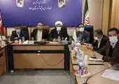 استقبال پرشور مردم از افتتاح پروژه های بنیاد مسکن در شهرستان بدره

