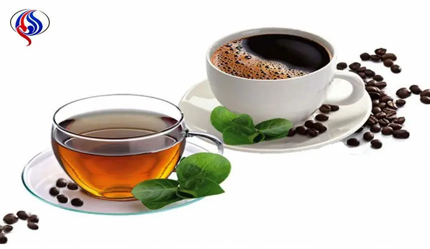 قهوه بهتر است یا چای؟
