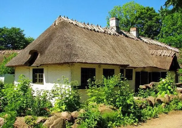 مجتمع مسکونی غافلگیرکننده عنکبوتها!+عکس