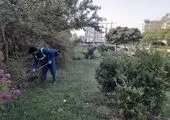 بهینه سازی شبکه آبرسانی فضای سبز در منطقه2 پایتخت 

