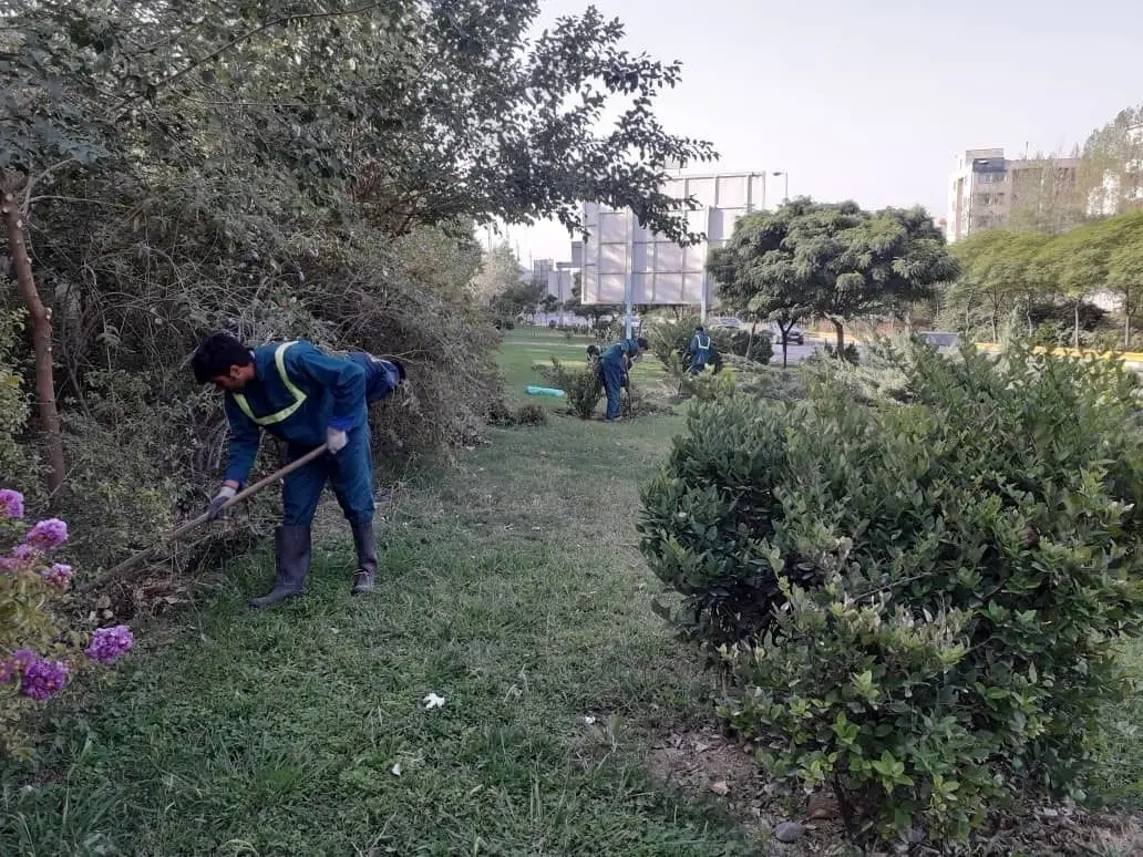 عرصه های جنگلی شمال شرق پایتخت از آتش سوزی های احتمالی محافظت می شوند

