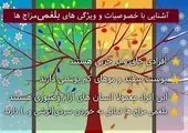 ترفندهایی برای افزایش سوخت و ساز چربی
