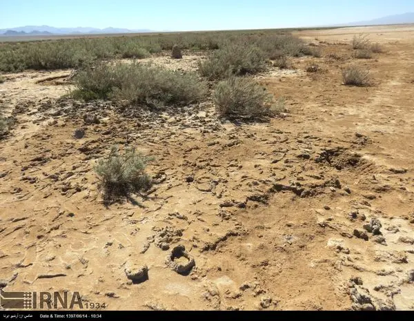 تالابی که خشک شد+عکس