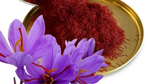 معرفی طلای سرخ ایران در مستند «زعفران» 

