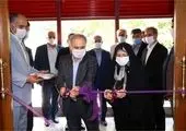 مشارکت آکادمی ملی المپیک در برگزاری وبینار ویژه معلمان تربیت بدنی سراسر کشور
