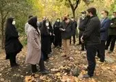 تحول فرهنگی و ورزشی در منطقه یک