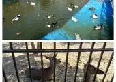 افتتاح و بهره برداری از ۲۷ طرح شهری در منطقه ۲ تهران