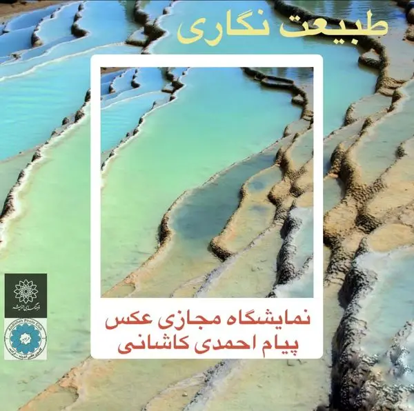 برگزاری نمایشگاه مجازی طبیعت نگاری در فرهنگسرای اندیشه