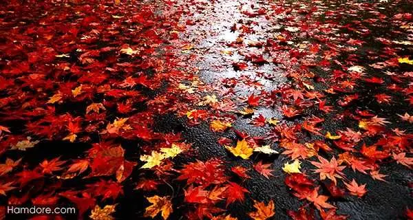 ۱۰ مکان جذاب برای پاییزگردی