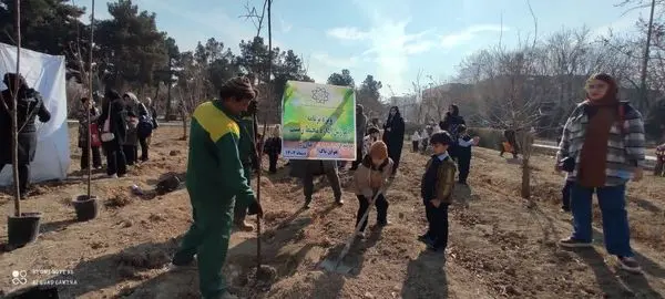 پاسداشت هفته هوای پاک با غرس 100 اصله نهال توسط دانش آموزان منطقه 19