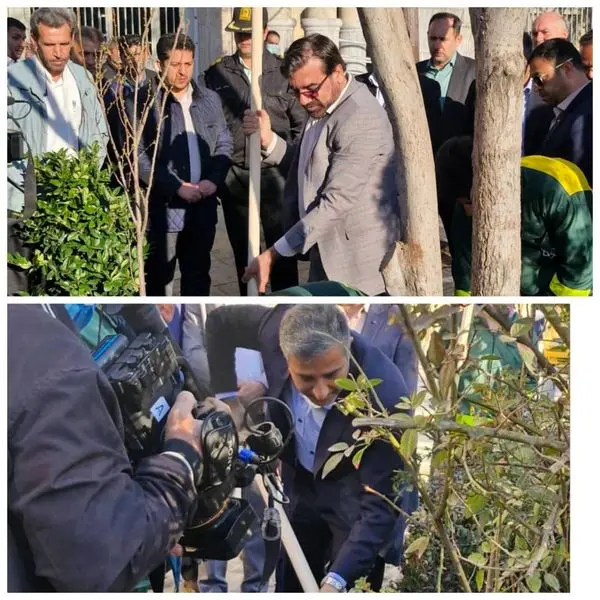 کاشت سه اصله نهال در دادسرای عمومی وانقلاب تهران