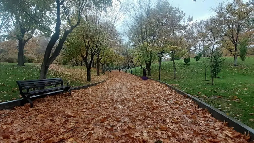 جلوه برگ های پاییزی در پارک ملت منطقه سه تهران

