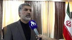  ۵۰۷ موکب ایرانی در نجف اشرف فعالیت می‌کنند

