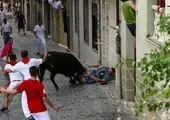 
حمله مرگبار گاو خشمگین به یک تماشاچی! + عکس

