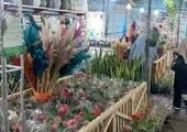 خدمت رسانی بی وقفه خدام الحسین باب الرضای تهران در نجف اشرف