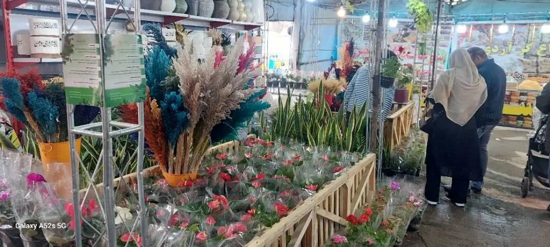برپایی بازارچه عرضه گل و گیاه در  منطقه ۲ 